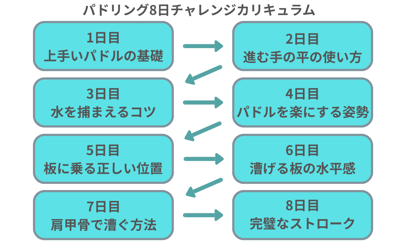 8日間のカリキュラムイメージ