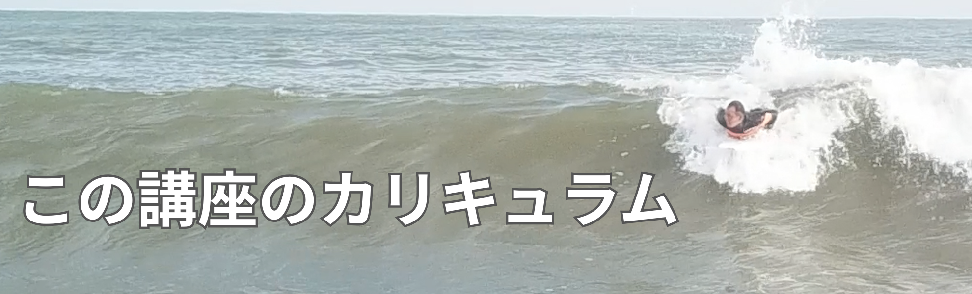 TM5カリキュラムの概要